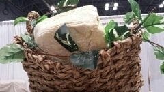 Shea Butter - Bulk 25lb