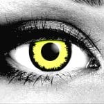 Louis Contact Lenses by Gothika