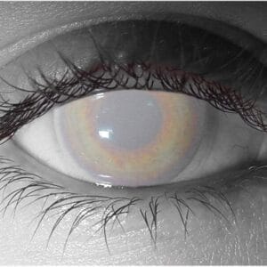 Frosty Contact Lenses - Pair - Hand Painted FX Lenses