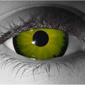 Gorgon Sclera Contact Lenses - Pair - Hand Painted FX Lenses