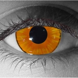 Palpatine Contact Lenses - Pair - Hand Painted FX Lenses