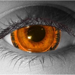 Rabdus Contact Lenses - Pair - Hand Painted FX Lenses