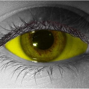 Yellow Sclera Contact Lenses - Pair - Hand Painted FX Lenses